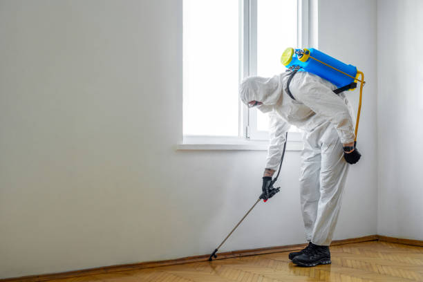 Best Termite Inspection and Treatment  in Kirksville, MO